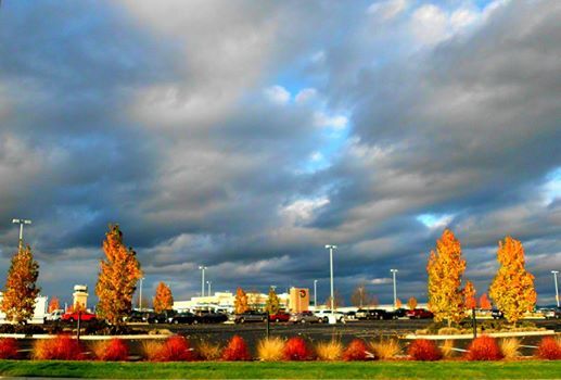 Fall Colors with cloudy sky