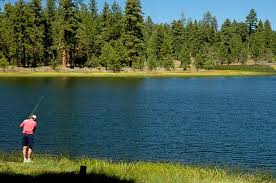 Delintment Lake Fishing