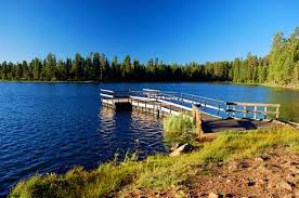 Delintment Lake Boat Ramp