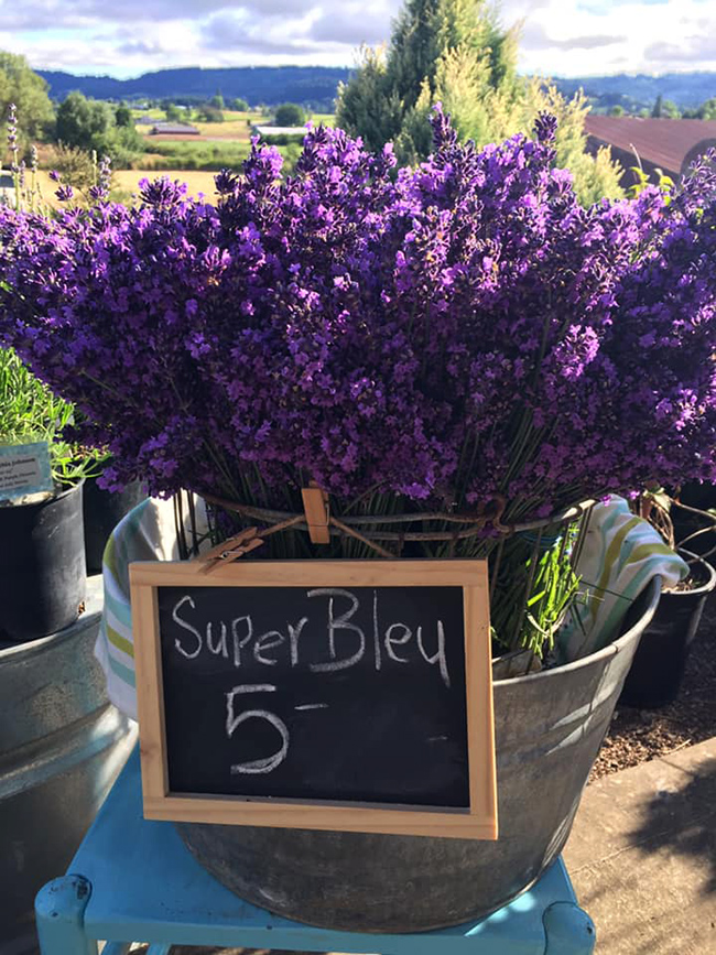 close up of basket of lavender with sign reading Super Bley, $5