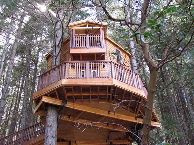 Outside view of a Treehouse