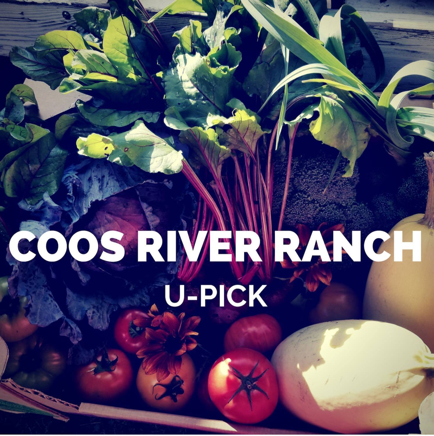 coos river ranch_upick image.jpg