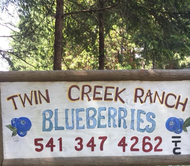 twin creek ranch blueberries_logo (2).jpg