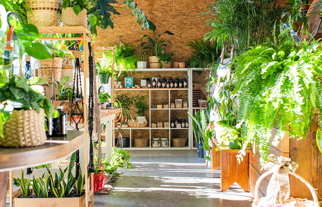 Sustainable Rituals retail shop, with lots of plants throughout.