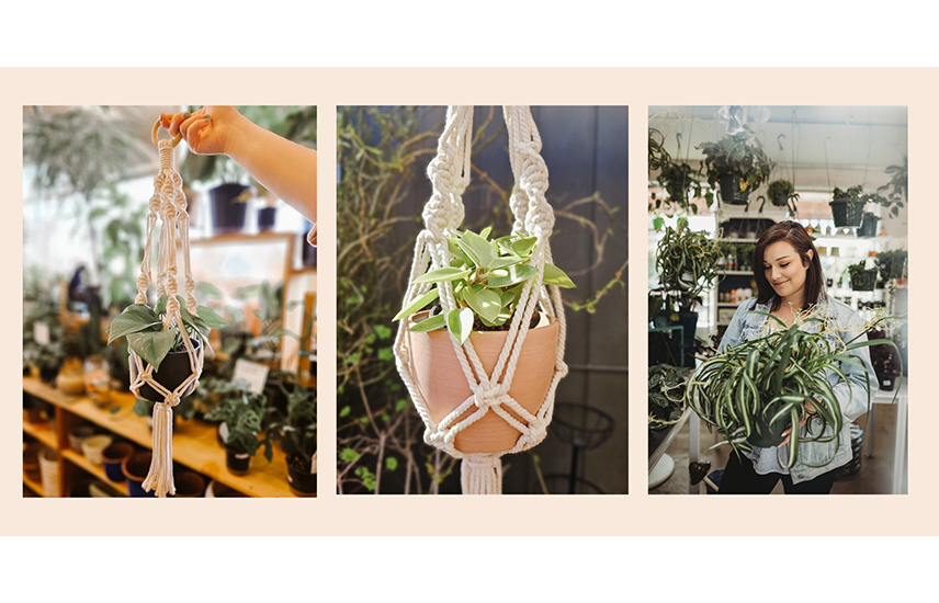 A collage of macrame plant hangings
