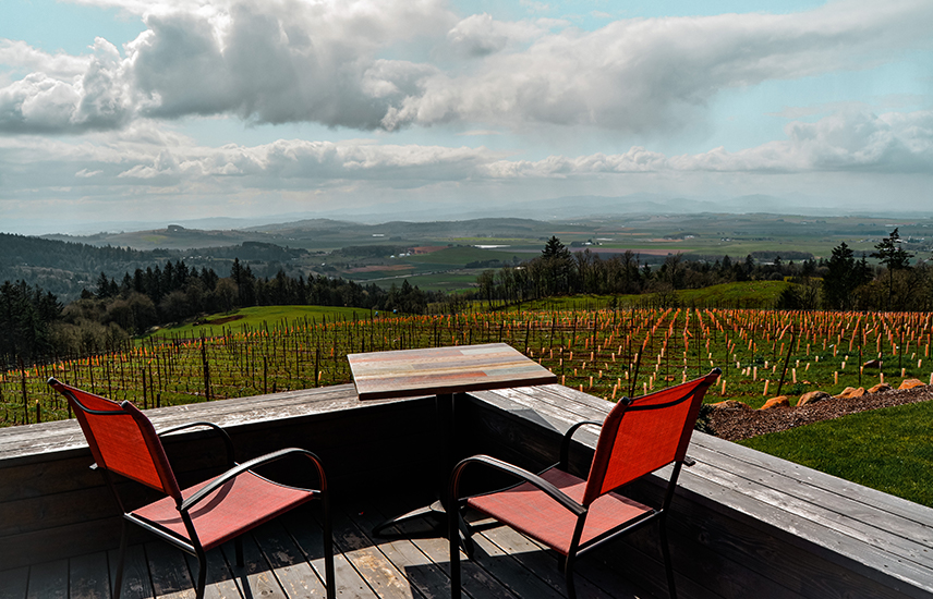 A patio with two bright chairs overlooks a wide view of a winery.