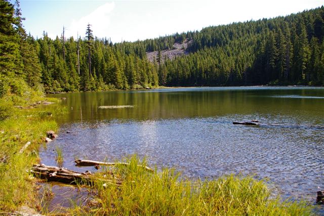 Photo of Warren Lake