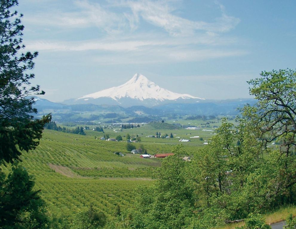 Mountain valley with snowy peak in distance.