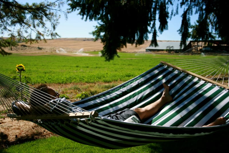 Man laying in striped hammock