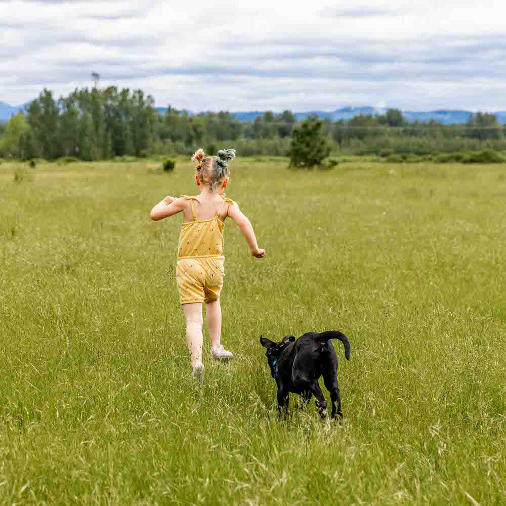 Young girl runs with black puppy at field in Sandy River Delta