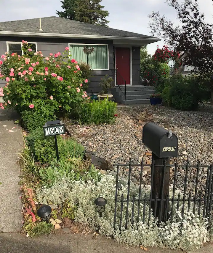 guest house with different plants and rock in front yard