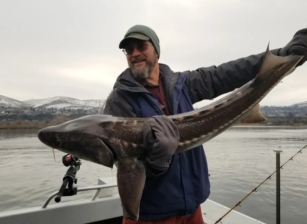 person holds big fish on boat