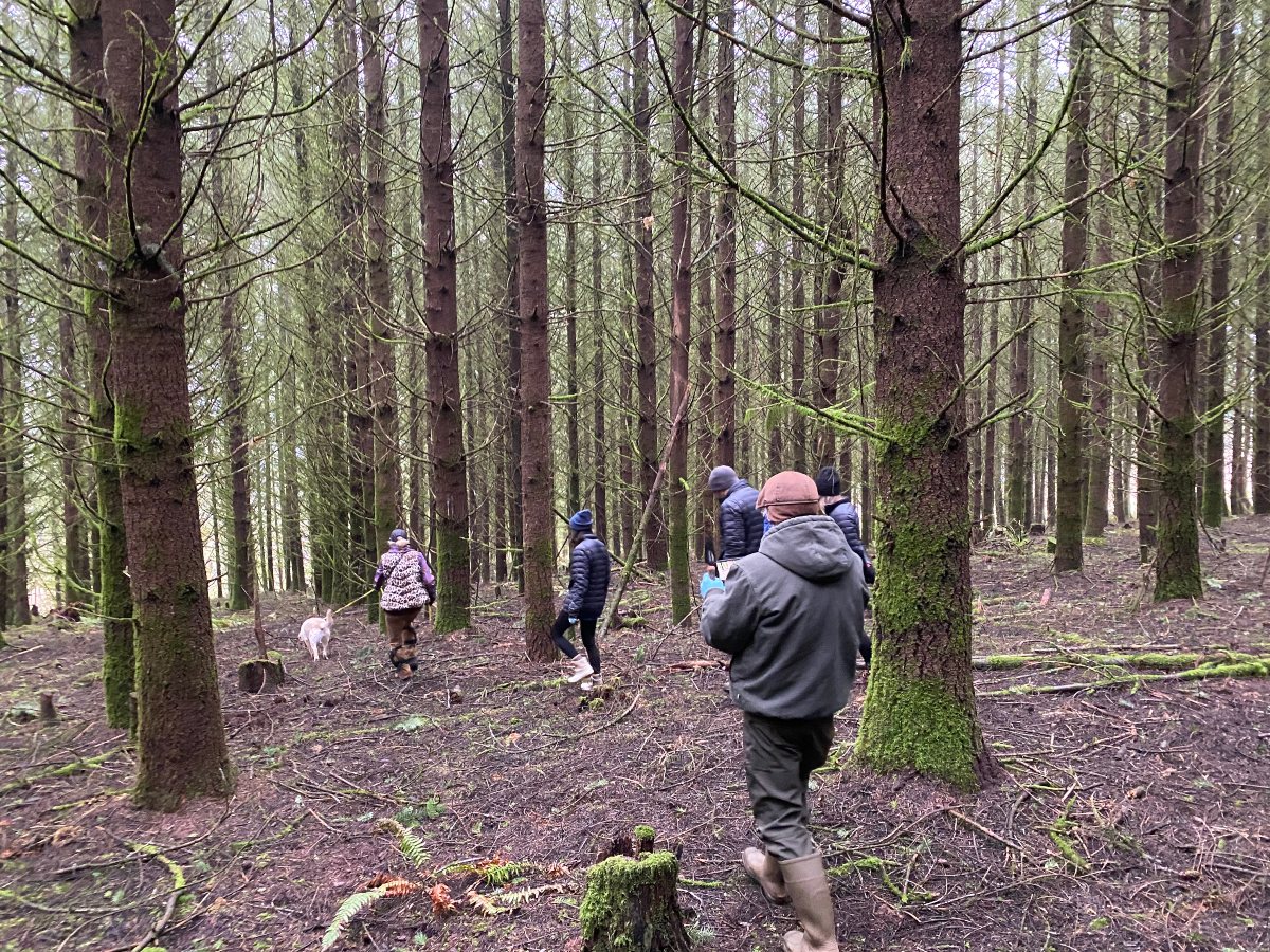 Several people and one dog in forest