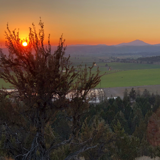 view of sunset over Sunlife Farm and Ranch with Cascade Mountains in the background