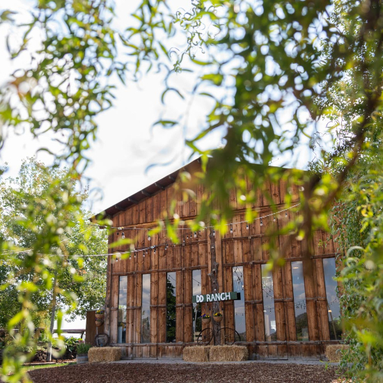 DD Ranch barn seen in background with tree branches in foreground