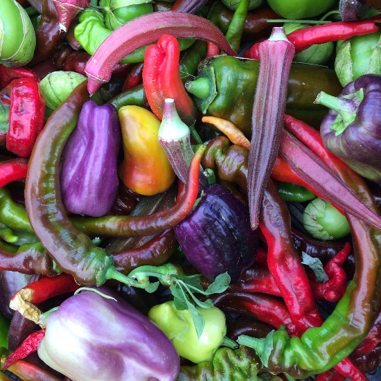 mixed peppers and okra , purple, yellow, red and green