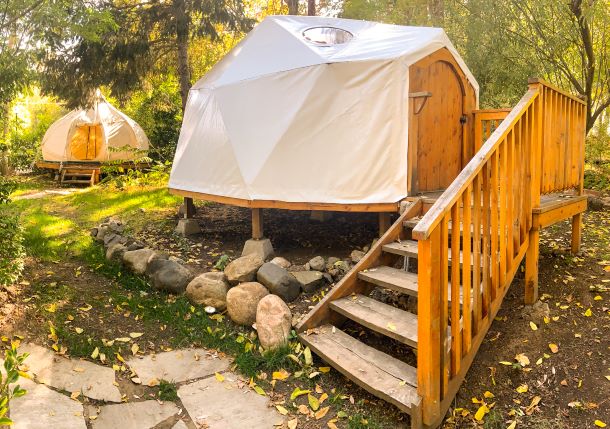 yurt-like cabin in wooded area