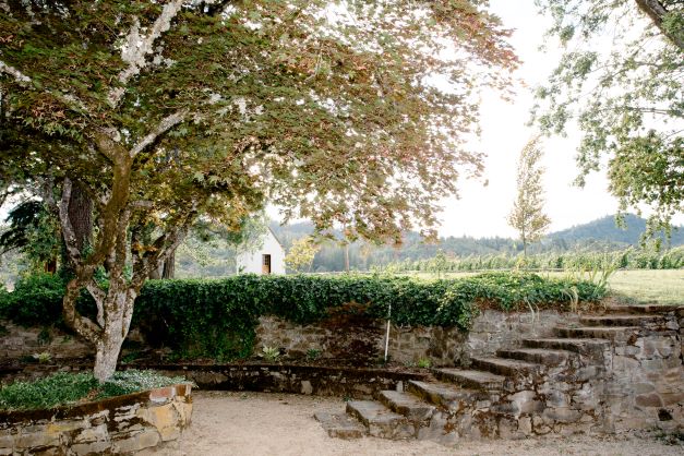 grounds of lodging property with stone stairs leading down to a courtyard with tree