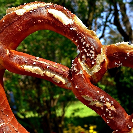 A salted pretzel with trees in the background