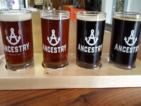 Four glasses of beer on a wooden tray.