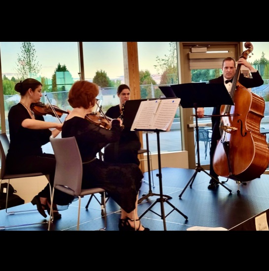 Four string musicians