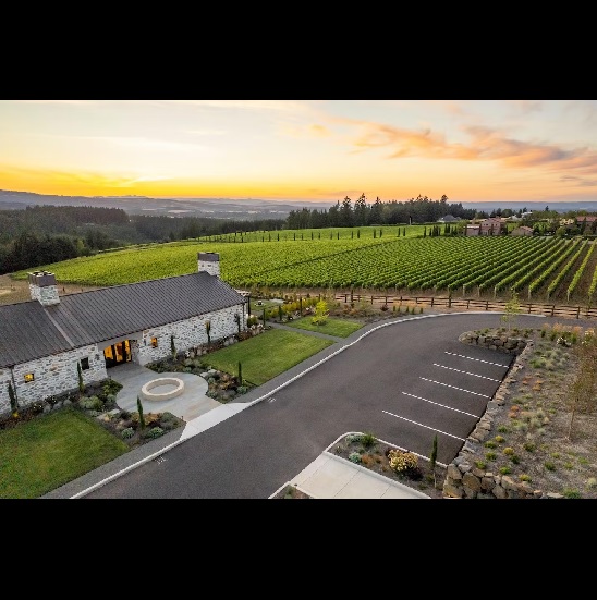 Stone building next to vineyard with a sunset behind