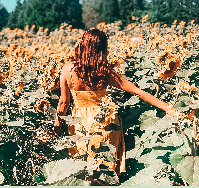 Oregon Sunflower Festival