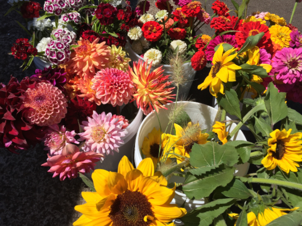 An assortment of flowers for sale including sunflowers.