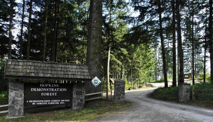 The entry to Hopkins Demonstration Forest.