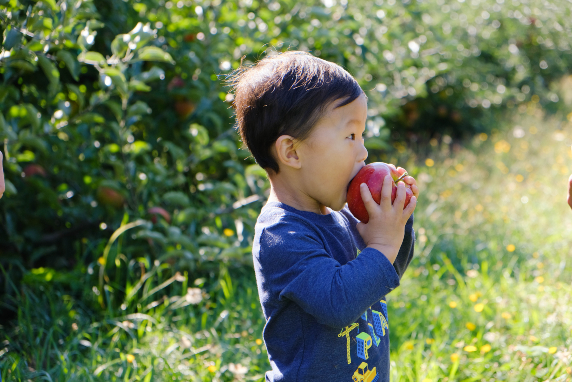 A small child eating an apple.
