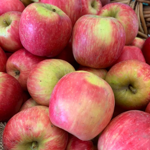 A close up picture of apples.