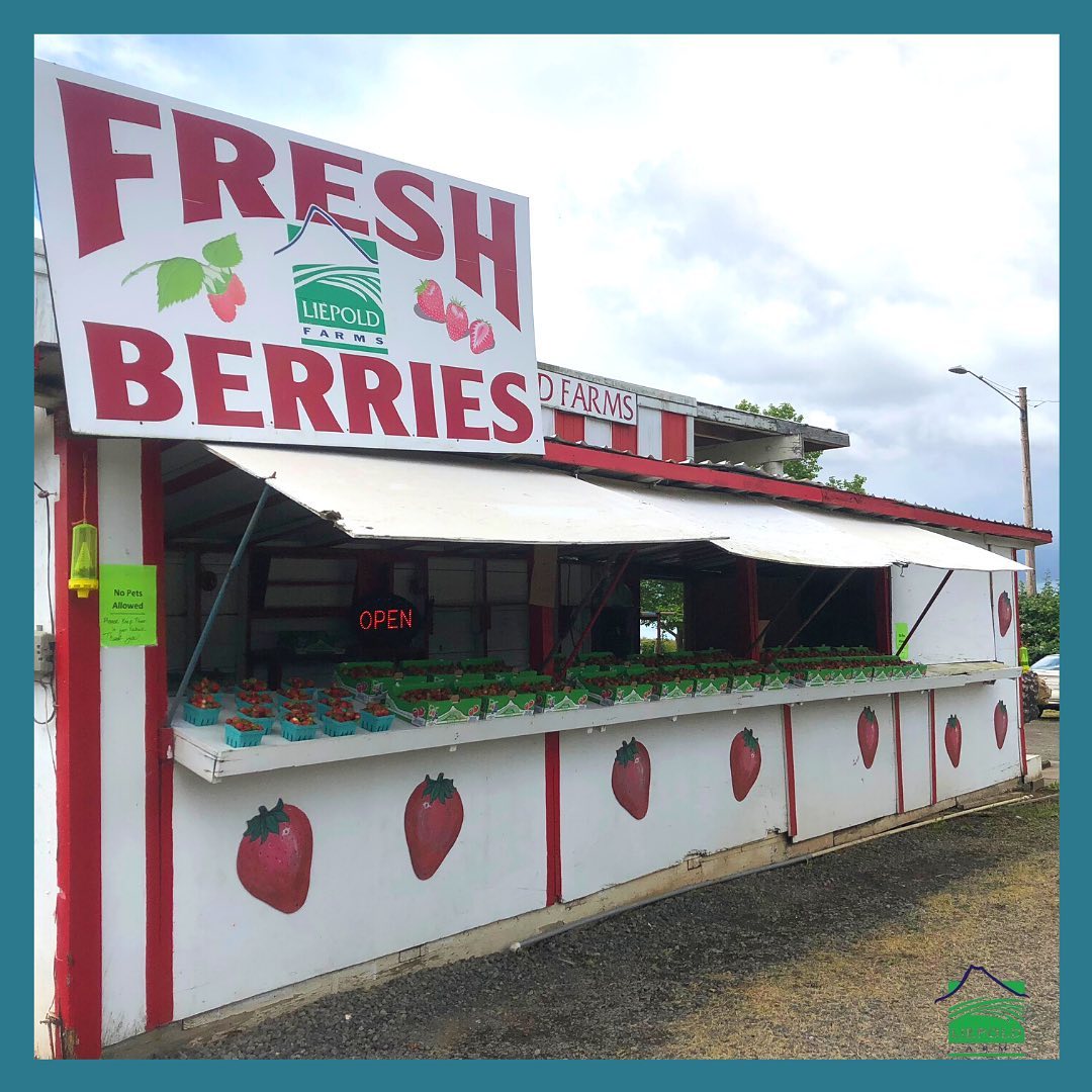 A berry stand that sells different types of berries.