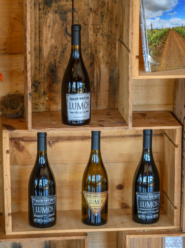 Four bottles of wine on a shelf from Lumos Wine Co.