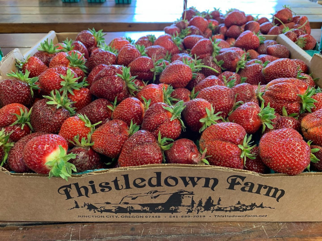 Fresh picked strawberries from Thistledown Farm.