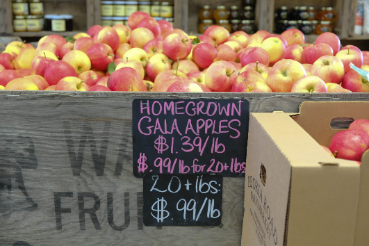 A box full of Gala Apples for sale from Peoria Road Farm.
