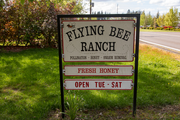 Roadside sign for Flying Bee Ranch.