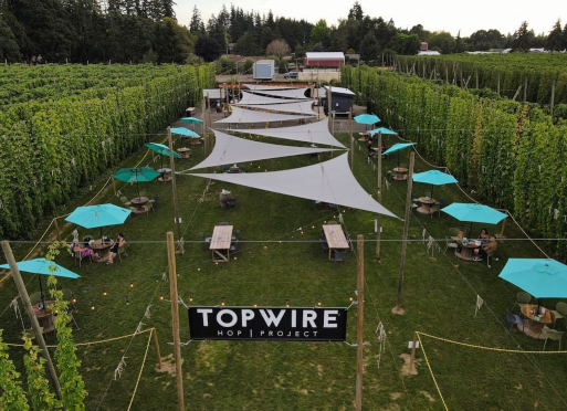 Outdoor dining area at Topwire Hop Project.