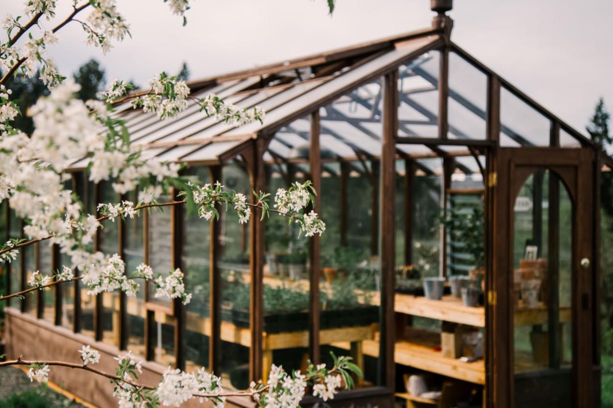 A green house filled with different types of flowers.