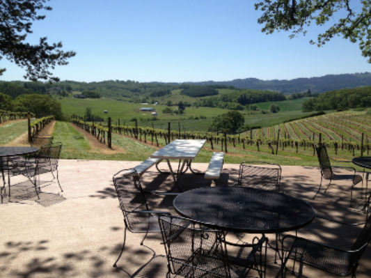 Patio seating at Namaste Vineyards that overlook the grapes being grown.