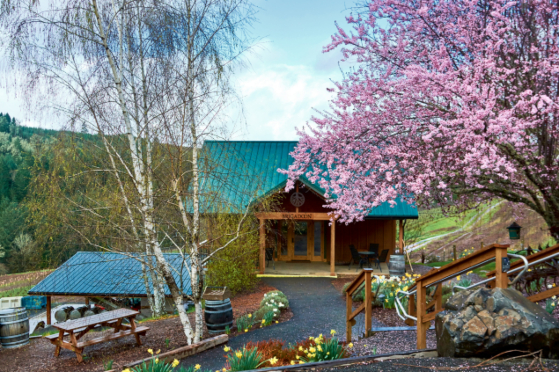 Tree bloom with flowers during springtime at Brigadoon Wine Company.