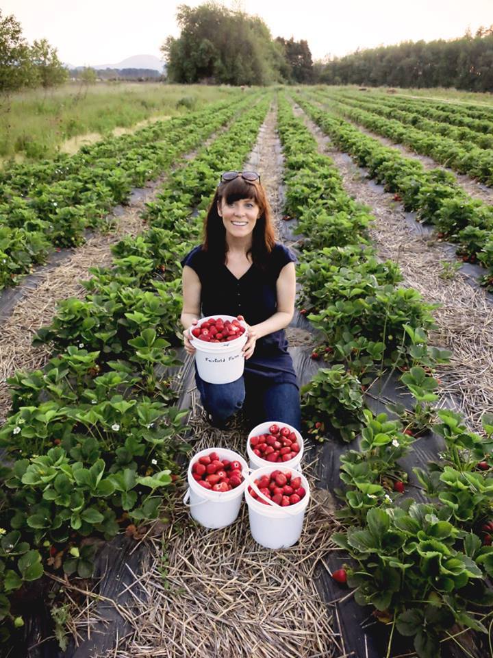 A person picking fresh strawberries.