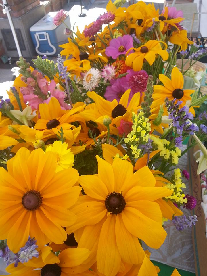 An assortment of colorful flowers.
