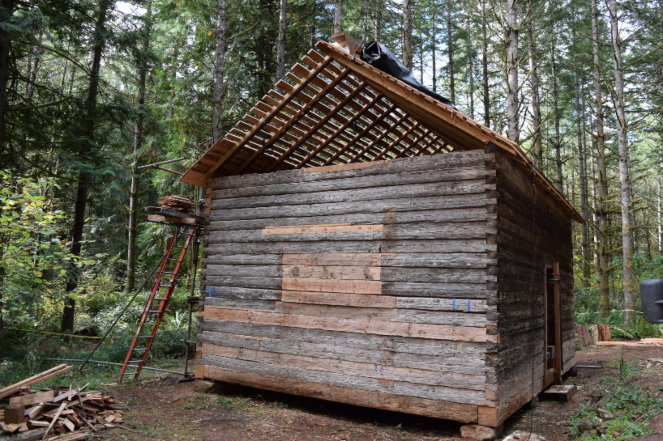 A log cabin being built in the forest.
