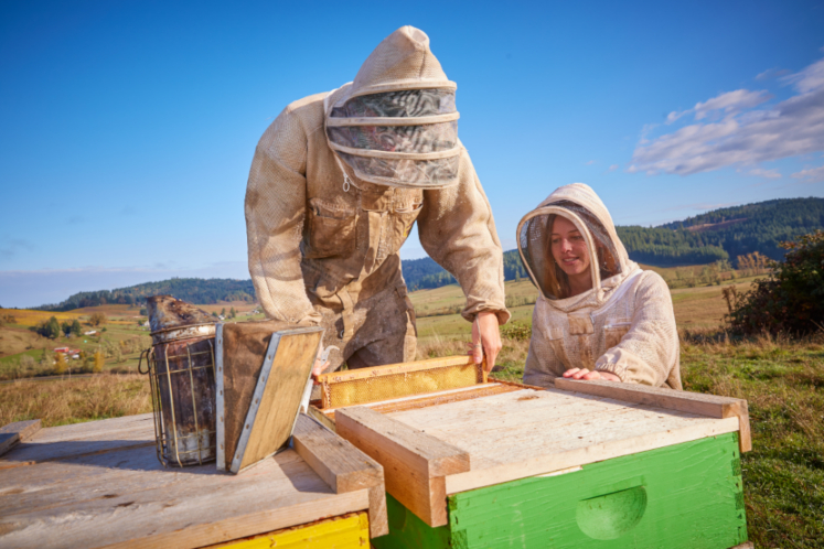 Two people working with beehives.