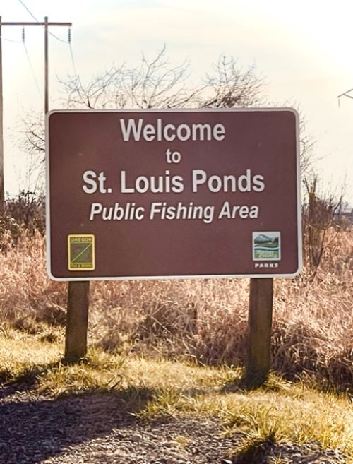 Fishing Area Sign