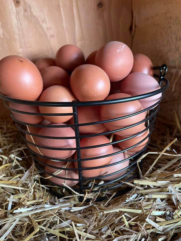 round wire basket containing farm fresh eggs