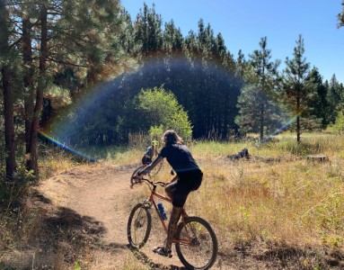person riding bike on gravel trail with evergreen trees to left of trail