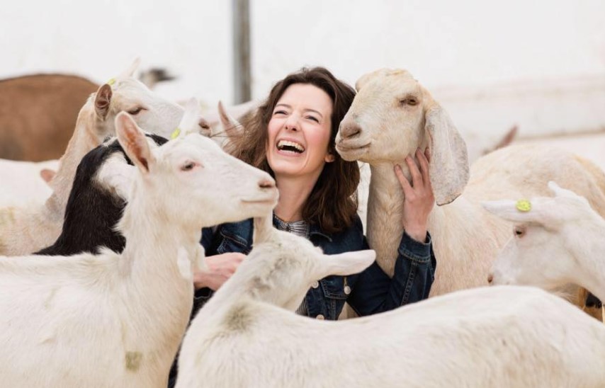 person crouched in center of group of five goats