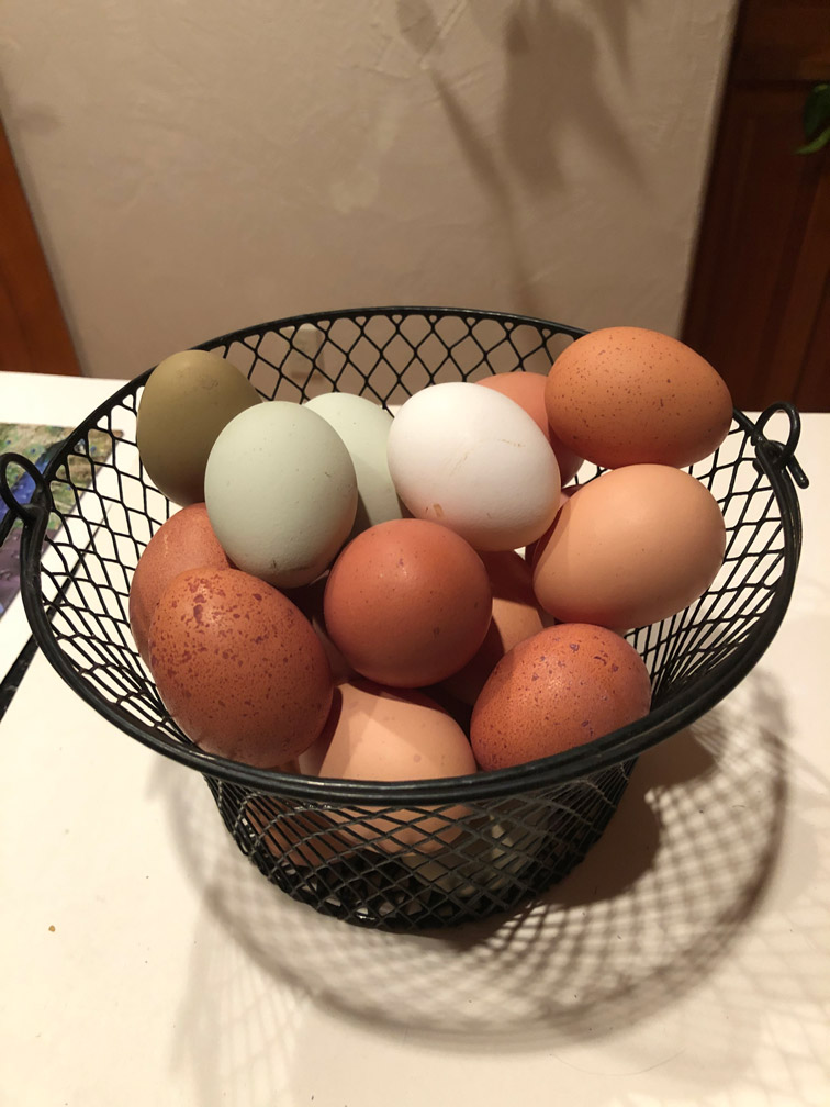 bowl of farm fresh eggs