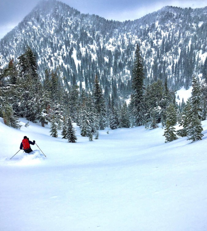 person downhill skiing in the direction of snow covered evergreen trees